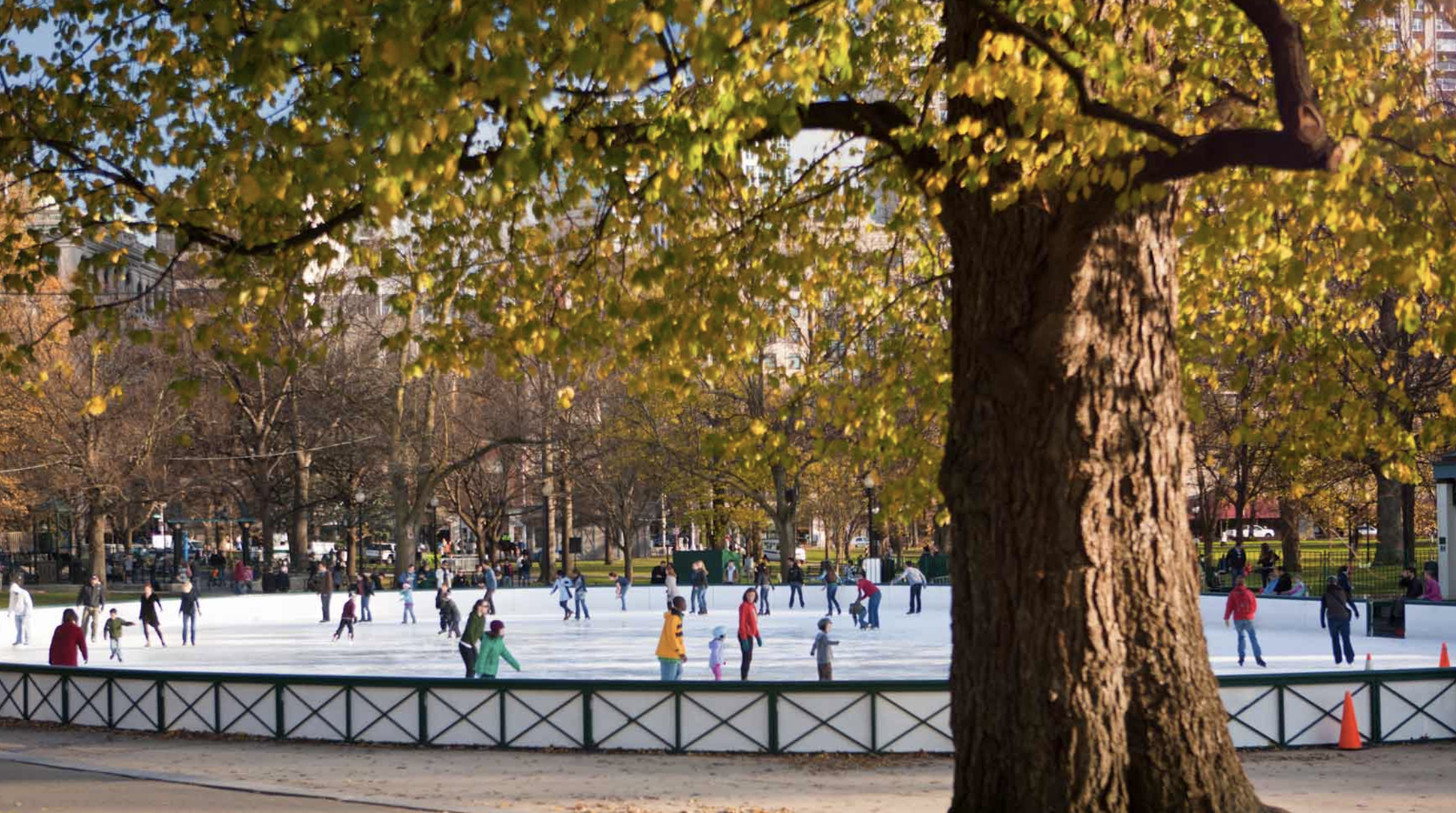 Boston Frog Pond Ice Skating